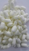 Cocon de soie naturel, meilleur prix du Vietnam / Mme Thi Nguyen +84 988 872 713