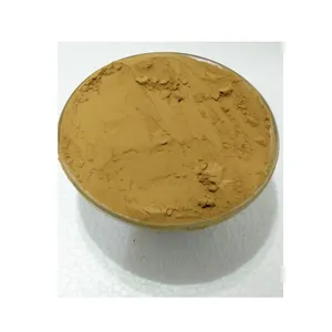 High Quality Hot Selling 100% Pure and Natural Tribulus Terrestris Extract Powder from Trusted Manufacturer