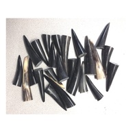 Embouts en corne de buffle à vendre Embout en corne Fabricant et fait main et beaucoup pour une taille personnalisée au meilleur prix