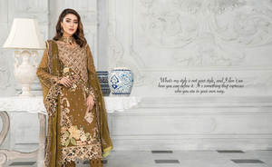 Pakistanaise Chic femmes robe en mousseline de soie Chic Style islamique fête costume Chic vêtements pour dames - Product Image 3