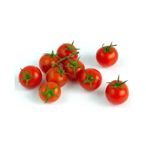Nenhum preservativo italiano cereja tomate do sul da itália pomodoro ciliegino latido etiqueta privada