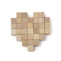 Cube en bois de 1 cm en gros, puzzle 3D, modèle mathématique de haute qualité