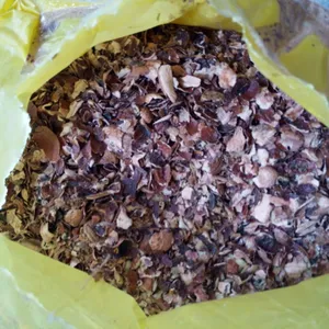 Vietnam cashew husk for sales with cheapest price