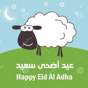 CHARCOAL FOR EID AL ADHA 100% INDONESIA HALABAN HARD WOOD BBQ BARBECUE CHARCOAL GRILL BEST SELLER IN Al Buraymi OMAN - Product Image 1