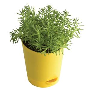 Best quality <b>Square</b> Planter <b>Pot</b> for home office and balcony decoration - Product Image 2