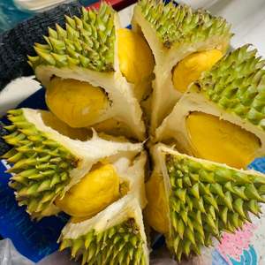 Meilleure vente de durian congelé de haute nutrition organique IQF durian de qualité d'exportation du Vietnam - Product Image 6