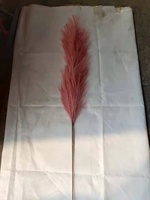 Bunga Kering Murah Grosir untuk Dekorasi Pernikahan, Rumput Pampas Asli Kering Alami untuk Hari Valentine, Natal, Hari Ibu, Wisuda