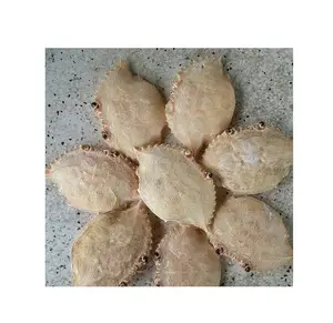Guscio di granchio crudo secco e pulito di alta qualità dal Vietnam/guscio di granchio pulito essiccato/Ms. Giglio + 84 906927736