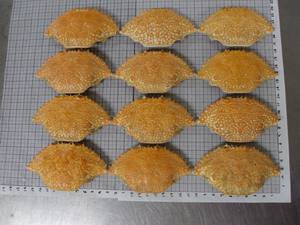 Venta al por Mayor de Conchas de Cangrejo Secas de Primera Calidad para la Producción de Quitina y Alimento para Ganado, Empaquetado en Bolsas - Modelo Hana - Product Image 4