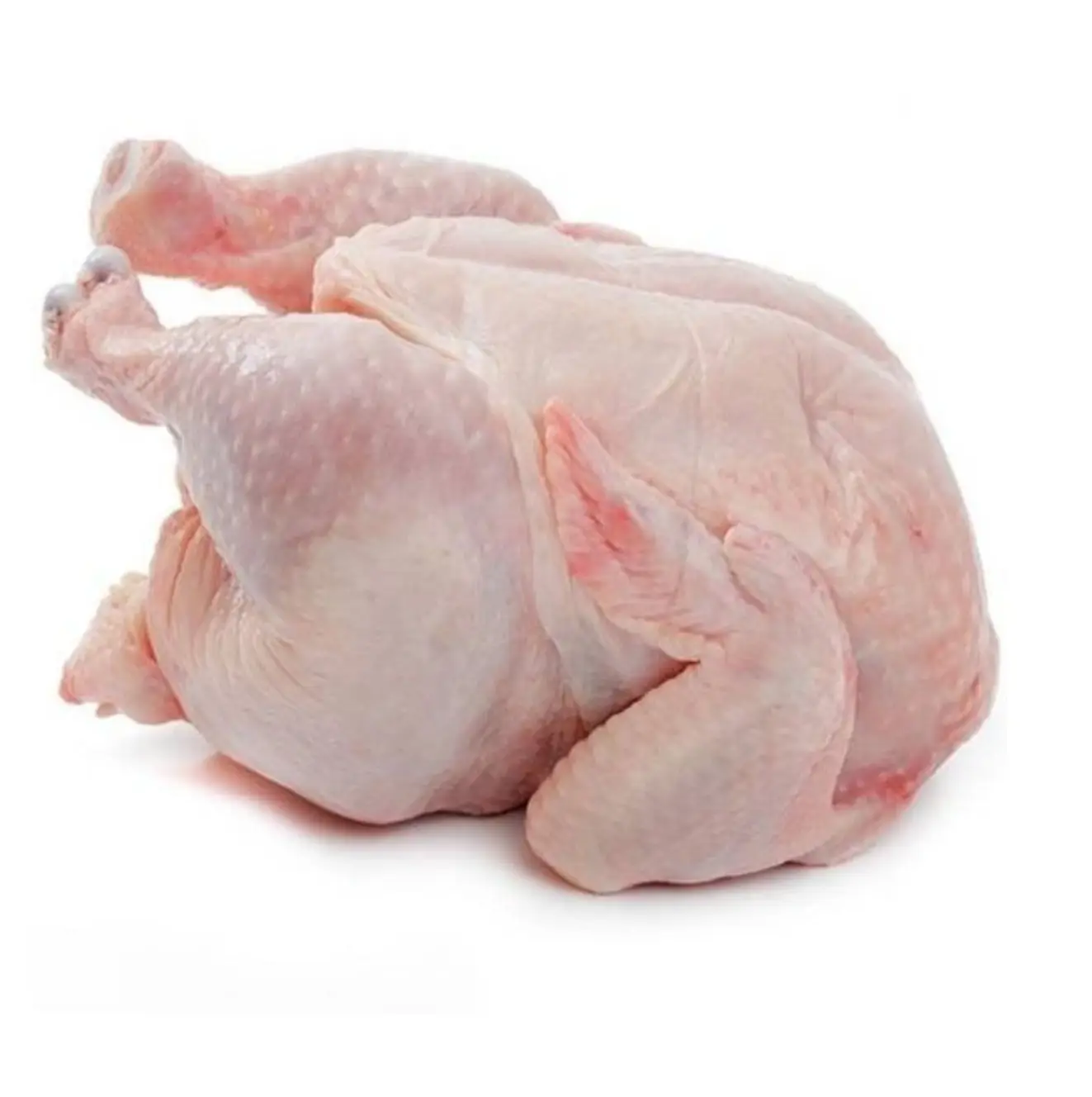 Carne di pollame pollo congelato fresco intero in vendita tagli di zampe di pollo in vendita