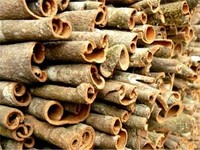 Poudre de cannelle cassée séchée AD pure et brute du Vietnam, haute qualité, certifiée HACCP, durée de conservation de 24 mois / Shyn Tran