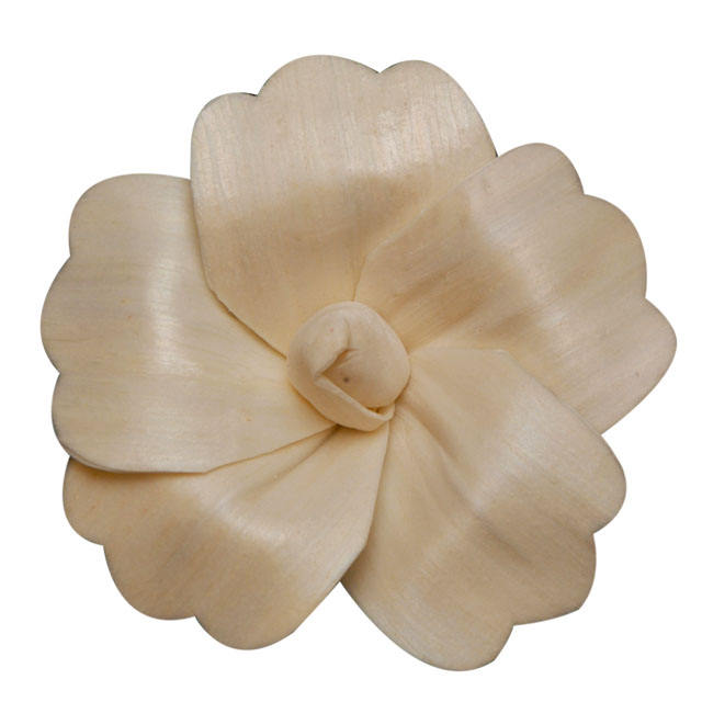 ธรรมชาติและสารพัน