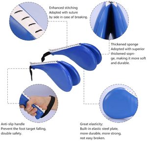 แบรนด์คาราเต้คู่เตะเป้าหมายพายฟลอปปี้เป้าหมาย - Product Image 2