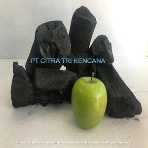 Barbacoa familiar para el invierno, el mejor tiempo para importación de carbón de madera dura, ideal para fiestas de barbacoa en la INDIA - Product Image 6