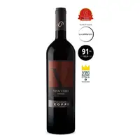 2021 Neuheiten Vintage 2013 IGP Apulien Italienischer Rotwein Trockener Wein mit 14% Alkohol gehalt