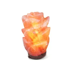 Hot Selling Hand Carved Crafted Stone Night Light Wooden Base Himalayan Natural Shape Pink Salt Lamps BY IMPEC PAKISTAN