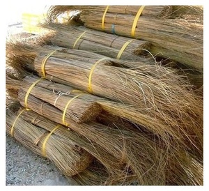 De palo de escoba de vietnam-Coco de palo de escoba [Ws0084587176063] - Product Image 1