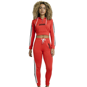 Hot Style Women Fleece Made Hoodies Sets With Crop Pullover Style / Custom Logo Printing - Product Image 3