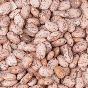 Frijoles Rosados, Frijoles Pinto, Frijoles Dulces, Secos a Granel, 25 kg - Product Image 2