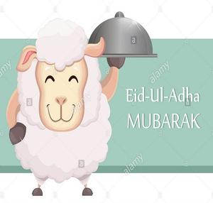 อาหารพิเศษใน EID AL ADHA MUBARAK ด้วยวัตถุดิบที่ดีที่สุดถ่านกะลามะพร้าวสำหรับบาร์บีคิวปราศจากสารเคมีที่ดีที่สุดในรัสเซียอูฟา - Product Image 1