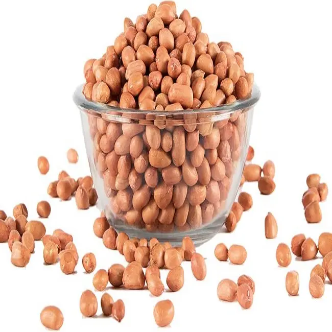 Porca vermelha da pele do chão, peanut cru prateado, peanuts frescos