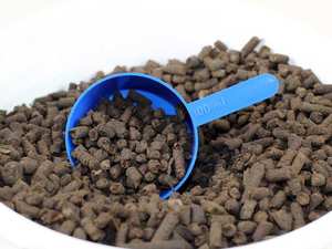 Engrais mondial de gâteau de graines de Neem à libération contrôlée 250Kg/Hectare Granules d'algues d'efficacité pour l'état de poudre d'agriculture - Product Image 4