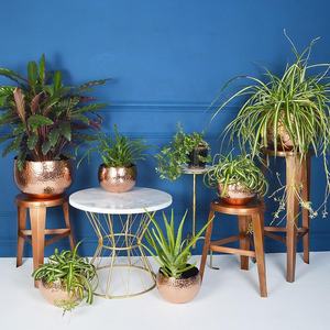 Maceta de cobre martillado - Product Image 6