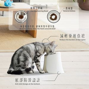 Cuenco ergonómico para mascotas, 893 - Product Image 5