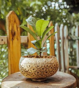 Vente en gros bon marché de porte-pots de fleurs au design élégant avec corde de coton bol en coquille de noix de coco pour la décoration de la maison et du jardin - Product Image 5