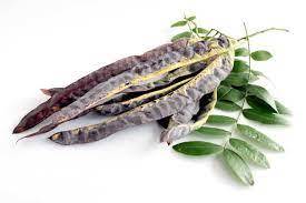 Bon prix - Meilleur prix pour les locustes séchés - Gleditsia - Product Image 2