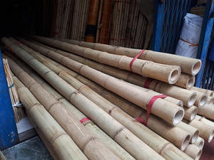 Tonkin-Bastones/bastones/estacas de bambú Natural, 99GD, gran oferta - Product Image 3