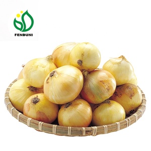 Trung Quốc Xuất Khẩu Tươi Giá Vàng Hành Tây Cho Người Mua Và Nhập Khẩu Bán Buôn - Product Image 6
