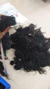 Cheveux indiens vierges alignés de première classe Article en vrac unique dessiné doux et droit Cuticule ondulée et bouclée Cheveux humains - Product Image 3