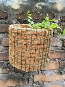Vaso <span class=keywords><strong>di</strong></span> fiori cilindro <span class=keywords><strong>di</strong></span> cocco per uso casa e giardino - Product Image 2