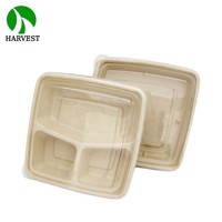 Assiette carrée jetable en bagasse de canne à sucre et bambou non blanchi, technique givrée, écologique, pour camping, 9x9 8x8