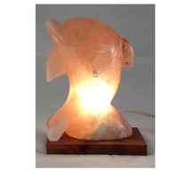 Lampes de sel de l'Himalaya IMPEX PAKISTAN en gros, sculptées à la main, courbes naturelles, matériau organique rose, logo personnalisé, décoration intérieure