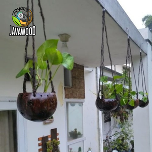 Herramientas de jardín, maceta de cáscara de coco para decoración de jardín, producto novedoso - Product Image 6