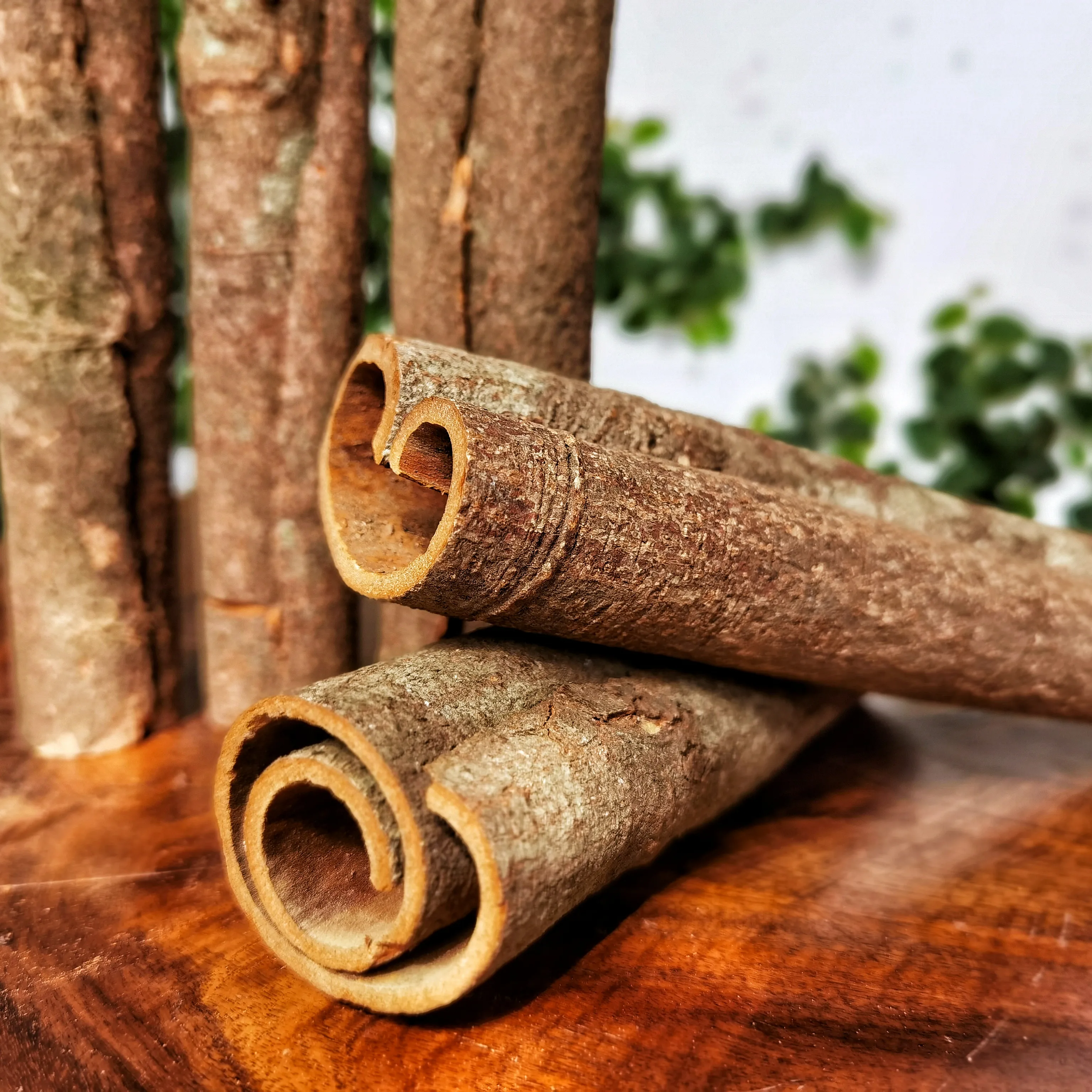 Grosir Besar Cassia Cinnamon Roll Tidak Mematahkan Tongkat 25-45Cm Ukuran Kelas Atas Asia Tenggara Harga Berkualitas