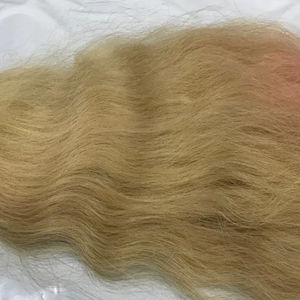 Extensions de cheveux Remy blonds Cheveux de temple vierges indiens avec cuticules Intact Natural Wave Machine Double Weft Bundles - Product Image 1