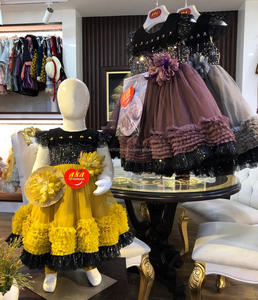 Hermoso Vestido de Fiesta para Niña con Diseño Elegante, Borde Plateado, Red Plateada y Protector de Cabello, Nuevo Diseño - Product Image 6