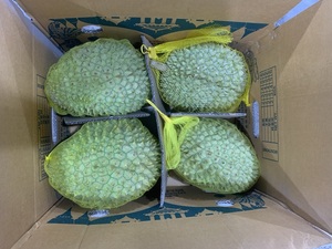 Processus IQF entier de Mongthong de Durian congelé organique emballé en vrac - Product Image 6