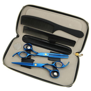 Kit profesional de corte de pelo, tijeras de peluquería de 2021 pulgadas, venta al por mayor, nuevo, precio bajo, 6,0 - Product Image 6