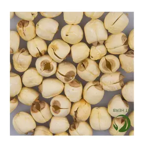 Semillas de loto blanco secas, alta calidad, el mejor precio, venta, de Vietnam/MS, ranita: + 84896436456