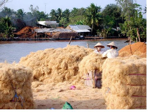 Natural Coir <b>Fiber</b> Manufacturer and Exporter in Vietnam - Eco2go Vietnam - Product Image 5