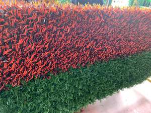 Paneles de valla de césped artificial europeo, fabricante para muros y usos de privacidad al aire libre con protección UV - Product Image 5