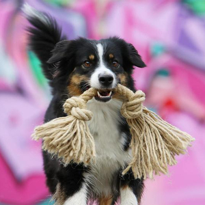 Juguete para Perro Moderno y Minimalista Hecho a Mano con Algodón de Colores, Regalo para tu Perro, Juguetes de Cuerda Natural para Perros - Juguete Orgánico para Mascotas - Product Image 1