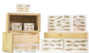 Hormiguero de Plástico, Casa de Hormigas, Decoración de Mesa con Nido de Yeso, Hábitat Único para Colonias de Hormigas - Product Image 6