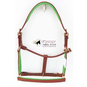 Qualité supérieure Châtaigne Cheval Équestre Halter Vert Cuir Rembourré avec Canal Vide sur le Nez Pièce de Joue Quincaillerie Dorée - Product Image 4
