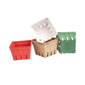Emballage pour fruits écologique, anti-casse, compostable, plateau en pulpe moulée, plateau pour fruits frais, fabricant vietnamien, boîtes en papier - Product Image 4