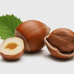 รสชาติธรรมชาติที่มีคุณภาพลวกเฮเซลนัท/ถั่วสีน้ำตาลแดงอินทรีย์ - Product Image 5